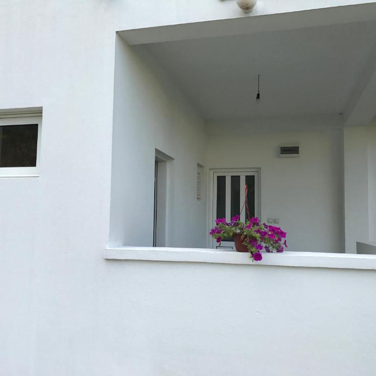 Apartmani Dragana - Apartment with Balcony - 8