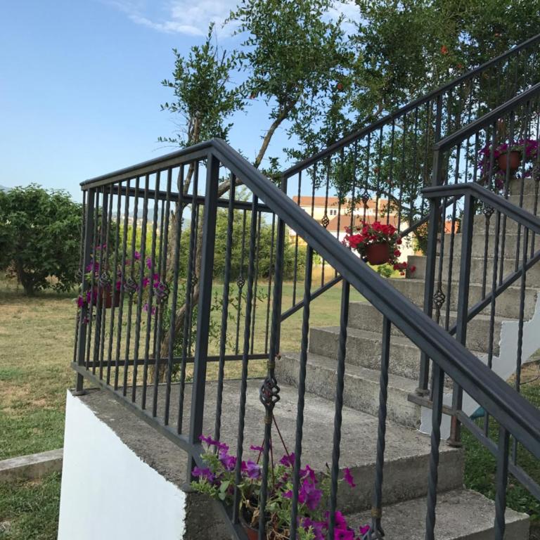 Apartmani Dragana - Apartment with Balcony - 7