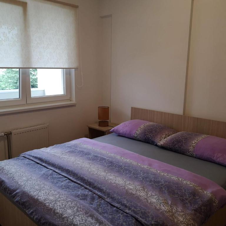 Apartman Marija - Apartment - 23