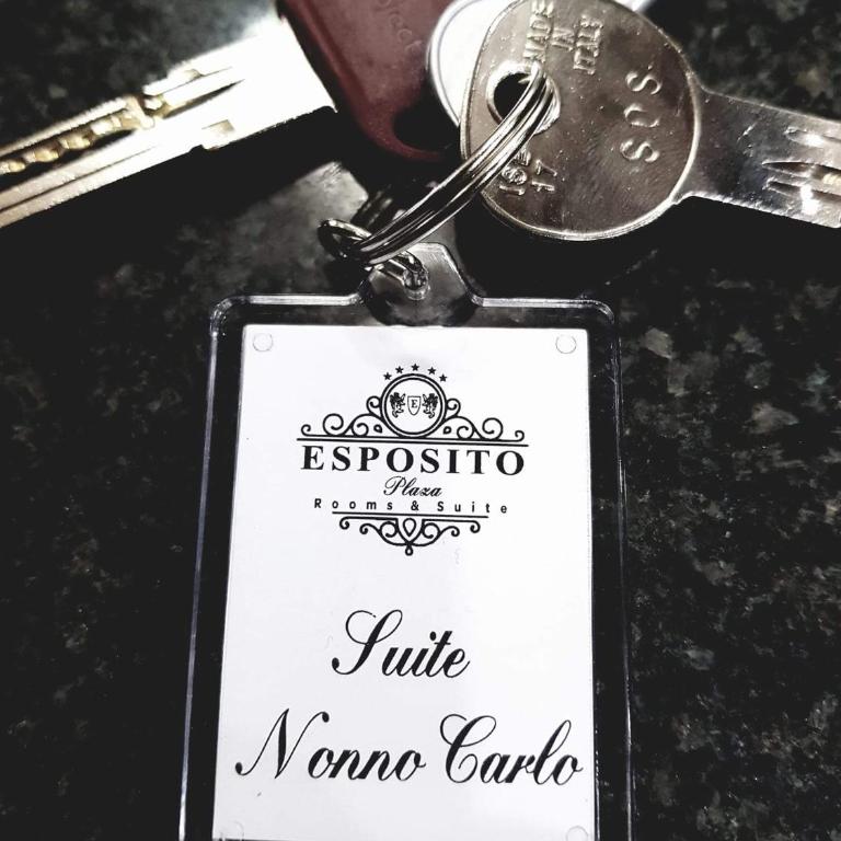 ESPOSITO PLAZA- ROOMS & SUITE - Junior Suite con Piscina Privata - 25