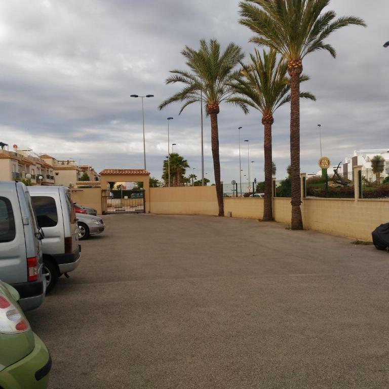 Apartement à La Mata - Apartamento - Planta baja - 41