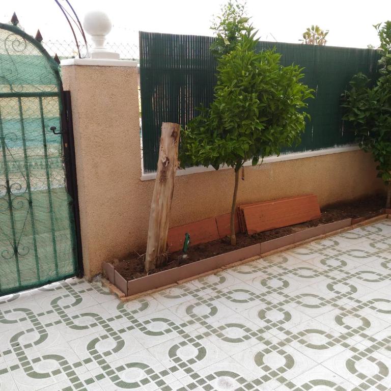 Apartement à La Mata - Apartamento - Planta baja - 15