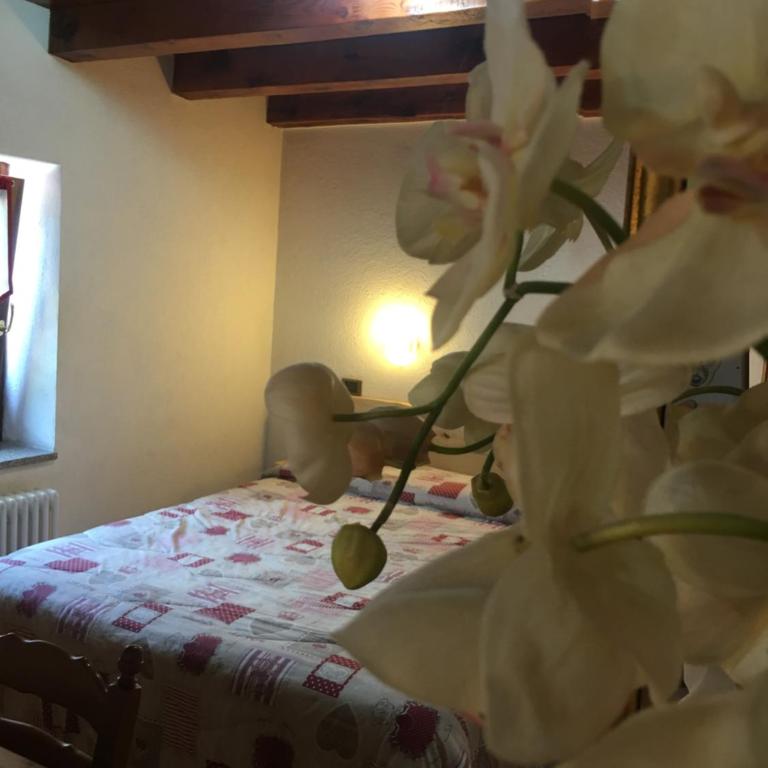 B&B La Vieille Meison de Pappa - Suite (2 Adulti) - 5