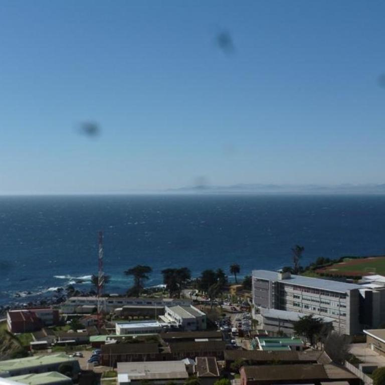 Apartamento V Region - Apartment - 18