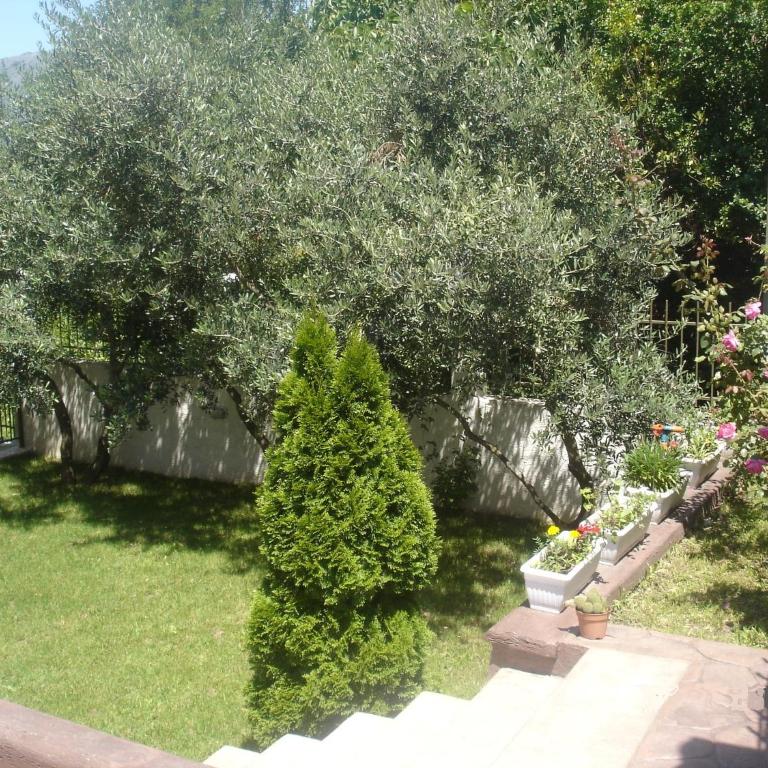 Apartments Popovic 2 - One-Bedroom Apartment with Terrace - 20
