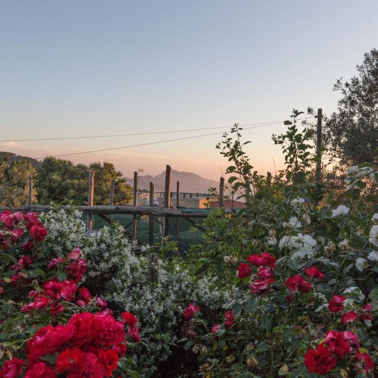 Raggio di Sole - Two-Bedroom House with Private Pool - 16