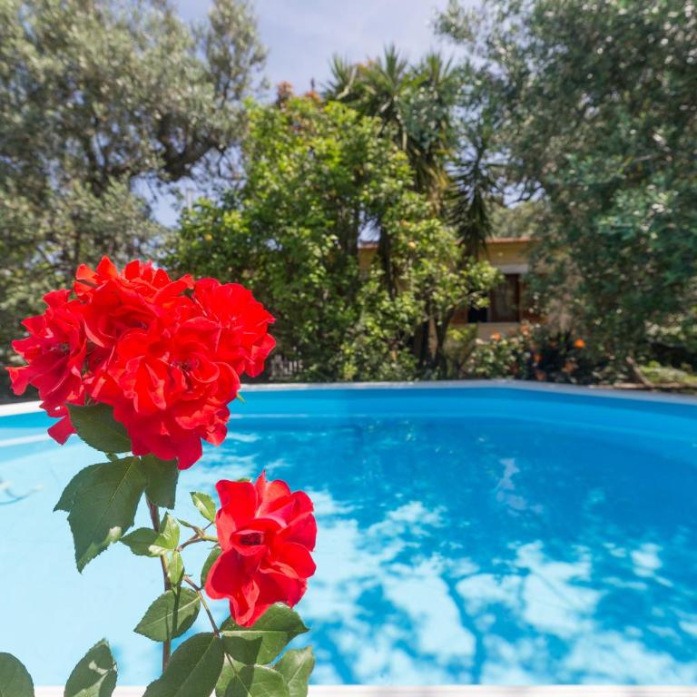 Raggio di Sole - Two-Bedroom House with Private Pool - 44