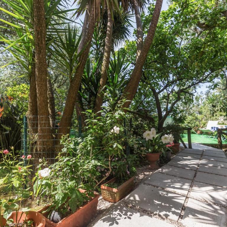 Raggio di Sole - Two-Bedroom House with Private Pool - 51