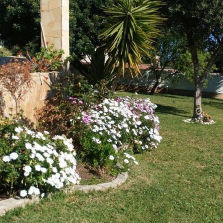 Calafell Residencial - Casa - 8