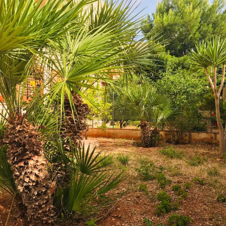 Casa relax San vito - Appartamento con 3 Camere da Letto - 11