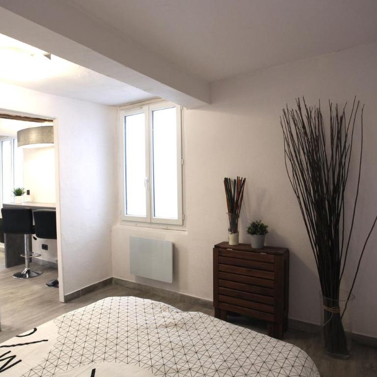 GregBnb - T2 Ancien et moderne - 15min Gare - Apartment - Ground Floor - 21