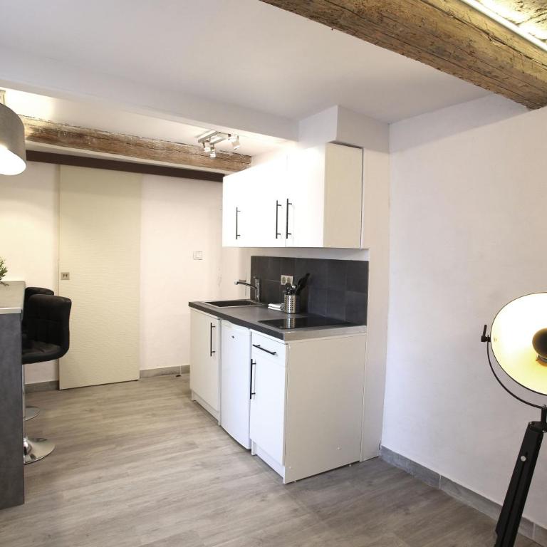 GregBnb - T2 Ancien et moderne - 15min Gare - Apartment - Ground Floor - 11
