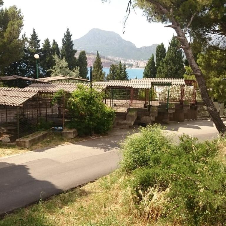 BG apartman - Apartment - 4