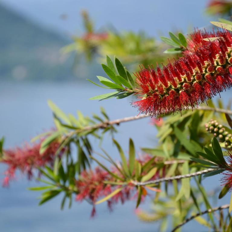 La Casetta Varenna - Casa Vacanze - 66