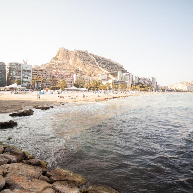 Juan Bautist Lafora, 2, Alicante - Apartment - 31