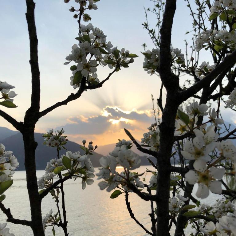 La Casetta Varenna - Casa Vacanze - 64
