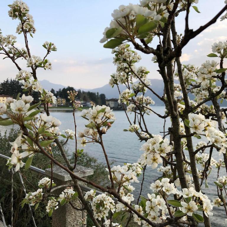 La Casetta Varenna - Casa Vacanze - 63