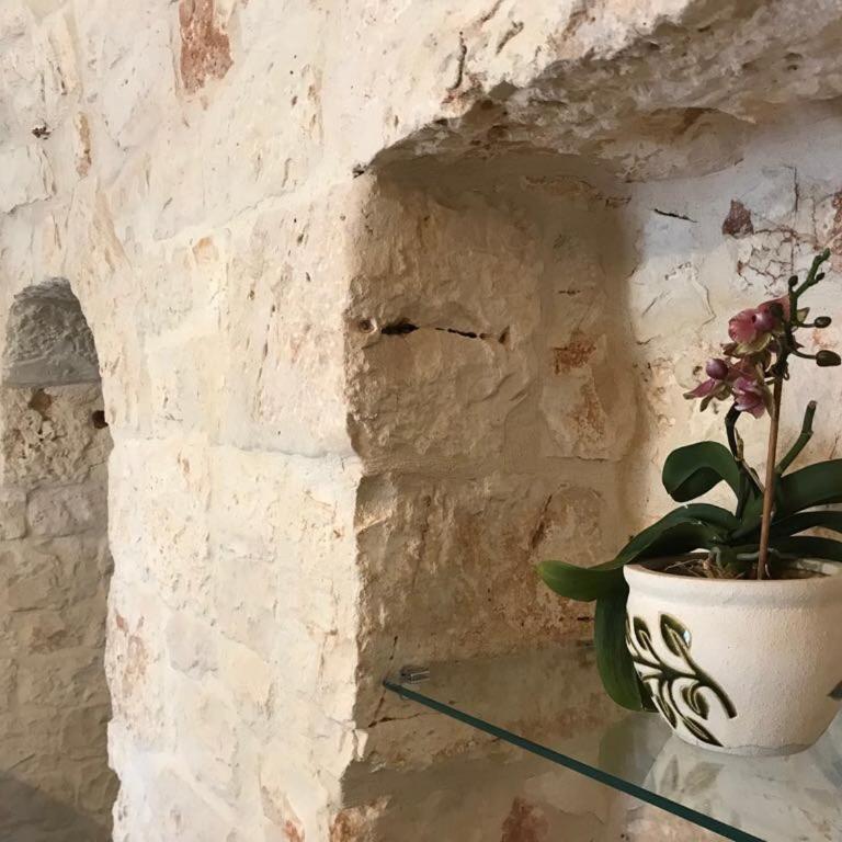 Trulli da Lalli - Villa con Vista Giardino - 19