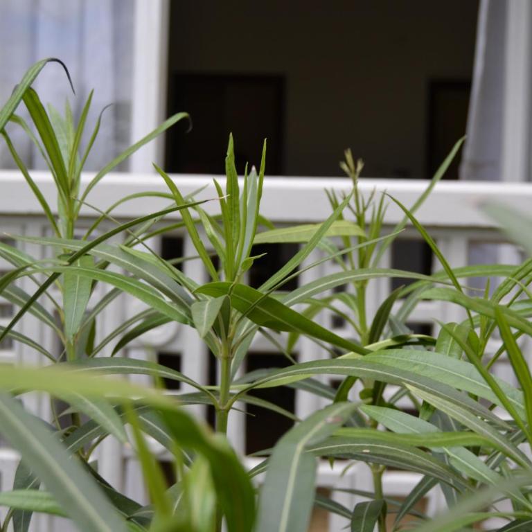 Residence Conero P. T. blocco E - Appartamento - 21