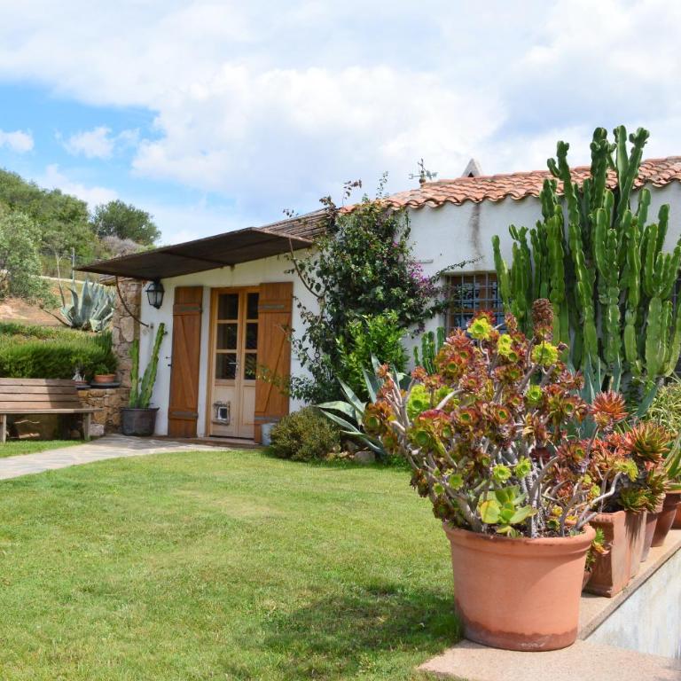 Sa Rezzetta - Four-Bedroom House - 9