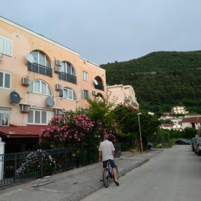 Sunčani apartman 2-Vila Amfora - Apartman - 19