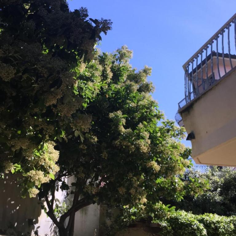Splendido appartamento con Giardino a Santa Teresa - Vacation Home - 42