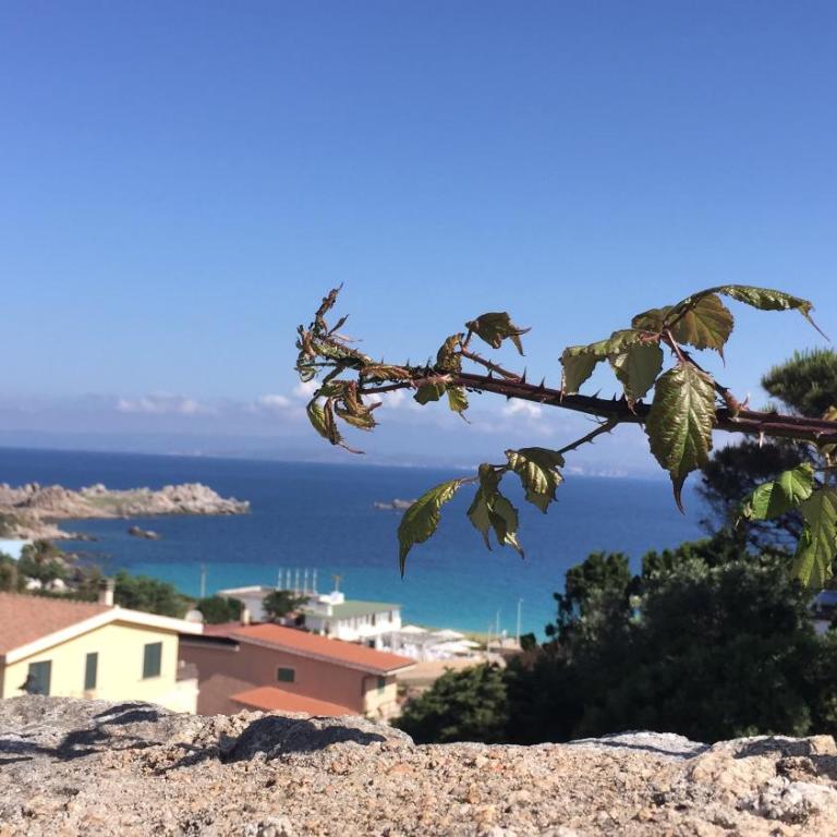 Splendido appartamento con Giardino a Santa Teresa - Vacation Home - 15
