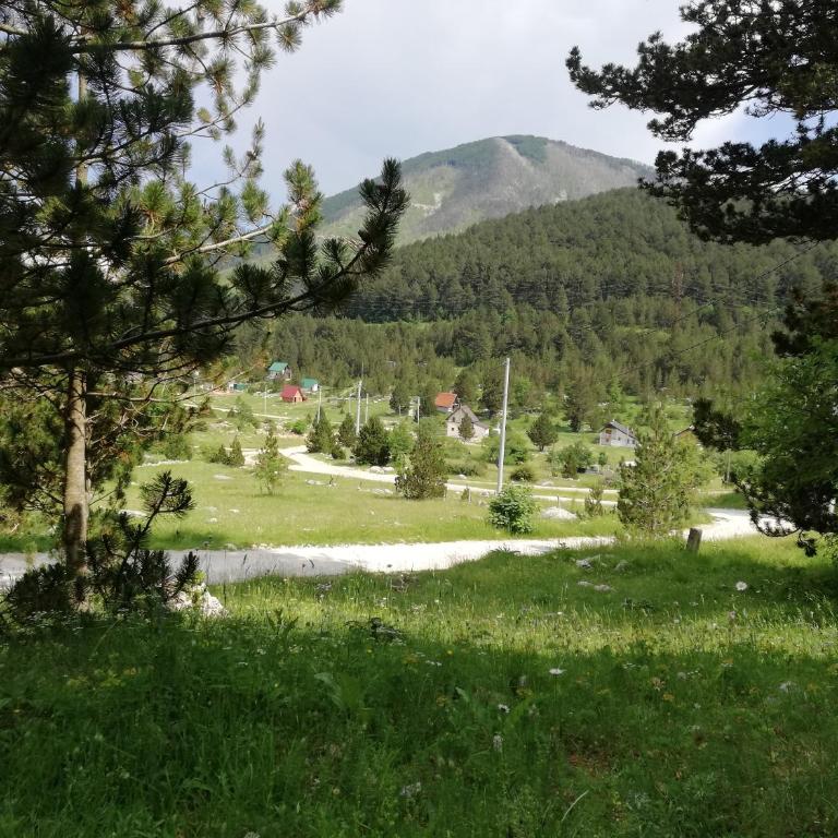 Cabin House Hidden Nest - Vacation Home - 34