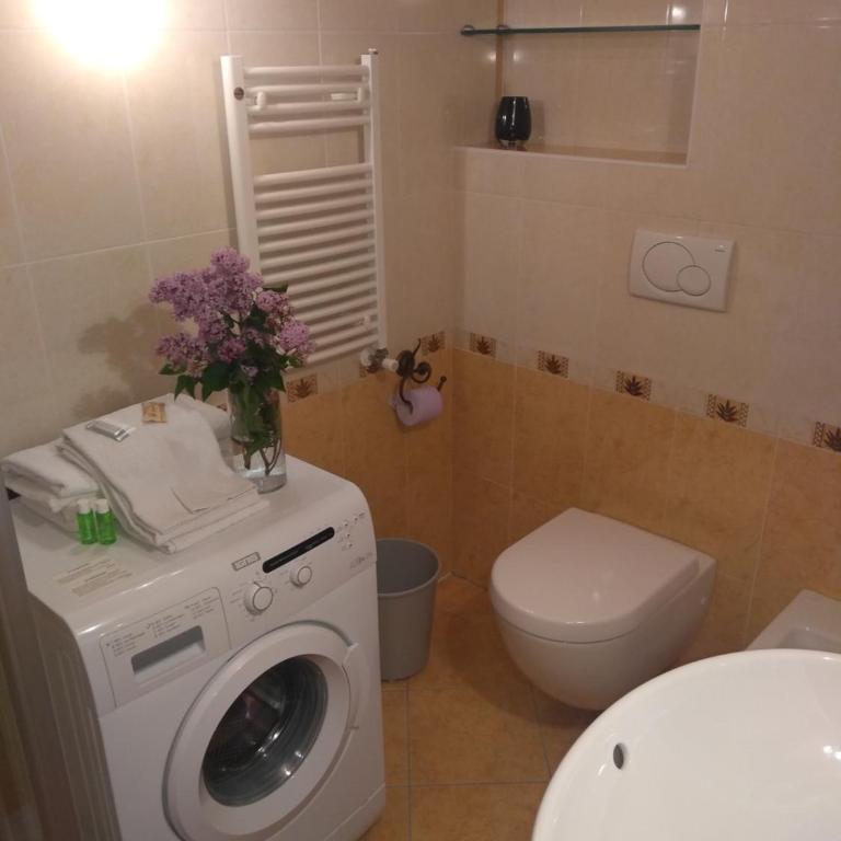 Cianbolpin Guesthouse - Camera Matrimoniale Economy - 26