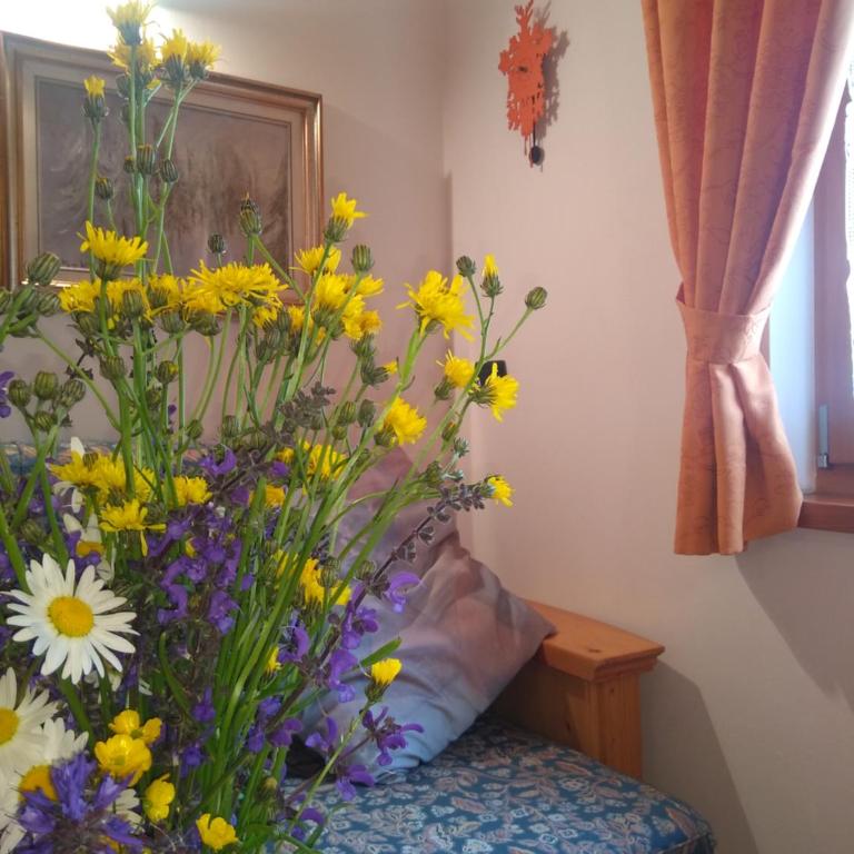 Cianbolpin Guesthouse - Camera Matrimoniale Economy - 8
