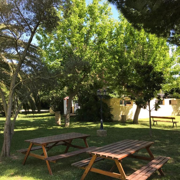 Résidence les Caraibes - Appartement Supérieur - 45