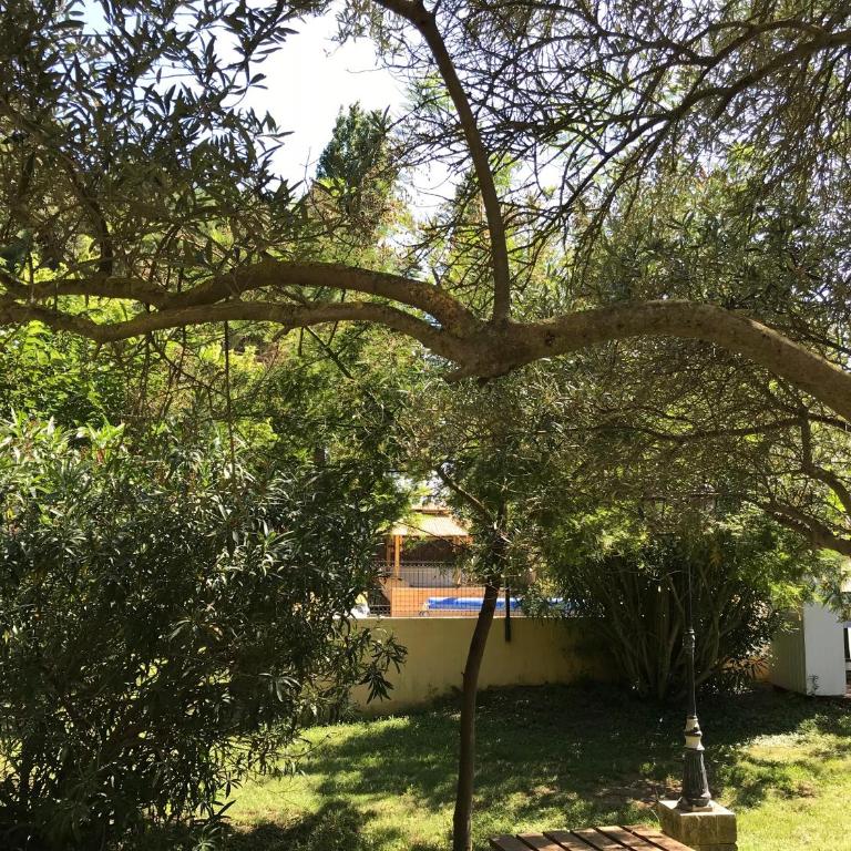 Résidence les Caraibes - Appartement Supérieur - 37