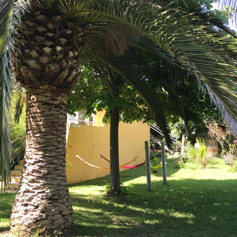Résidence les Caraibes - Appartement Supérieur - 31