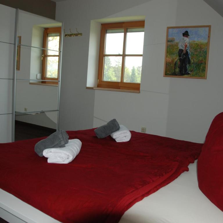Ferienwohnung Sommeregger - Appartamento con Vista Montagna - 19