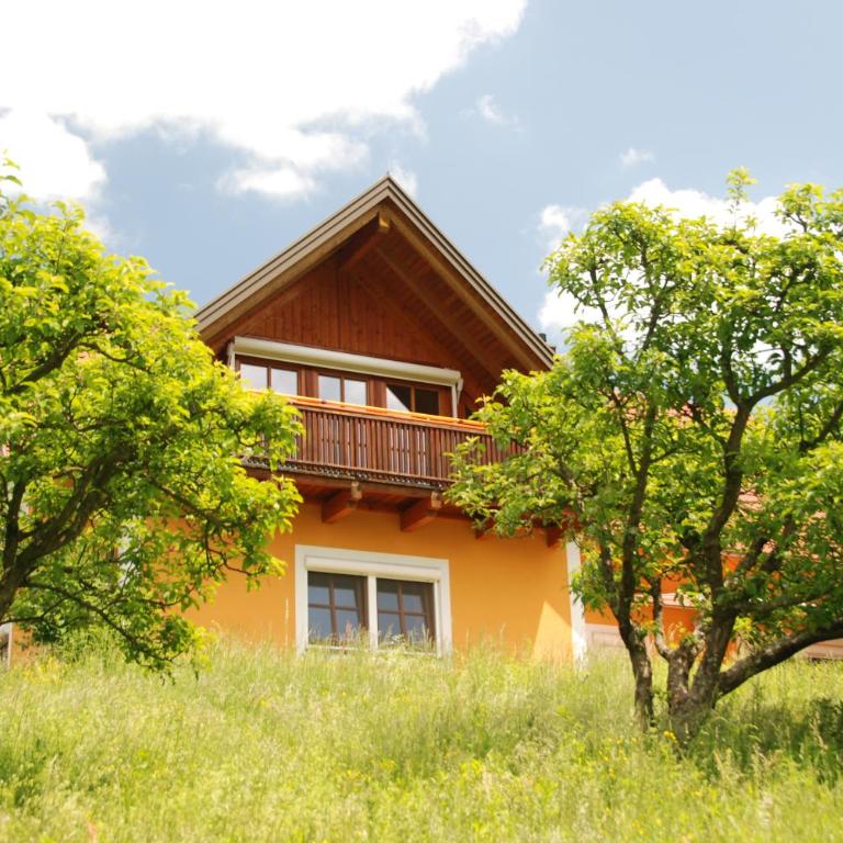 Ferienwohnung Sommeregger - Appartamento con Vista Montagna - 1