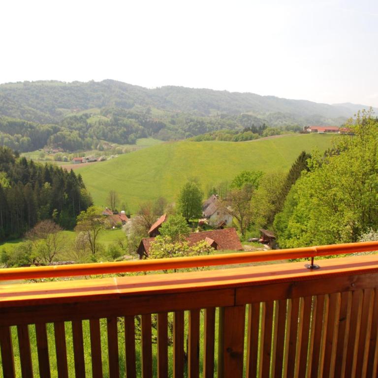 Ferienwohnung Sommeregger - Appartamento con Vista Montagna - 20