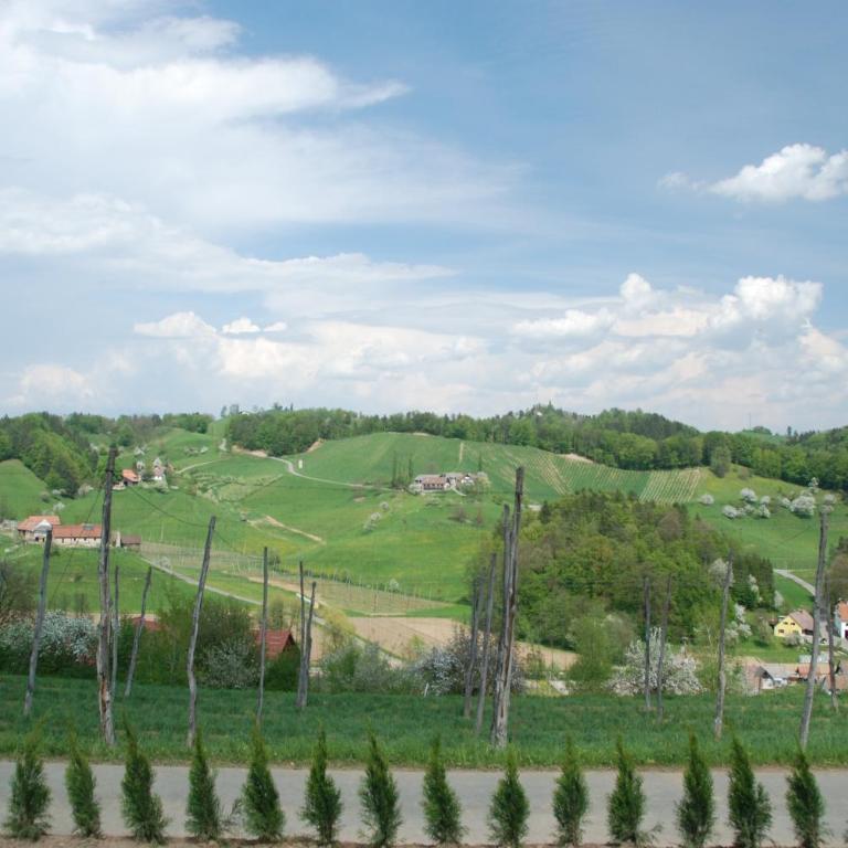 Ferienwohnung Sommeregger - Appartamento con Vista Montagna - 15