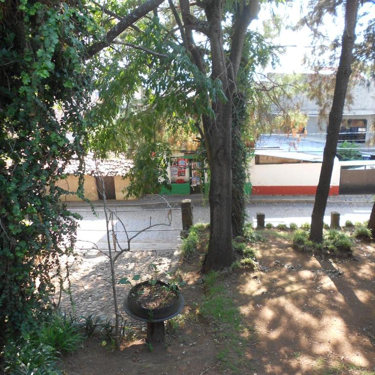 Cabañas los Venados - Casa de 2 dormitorios - 7