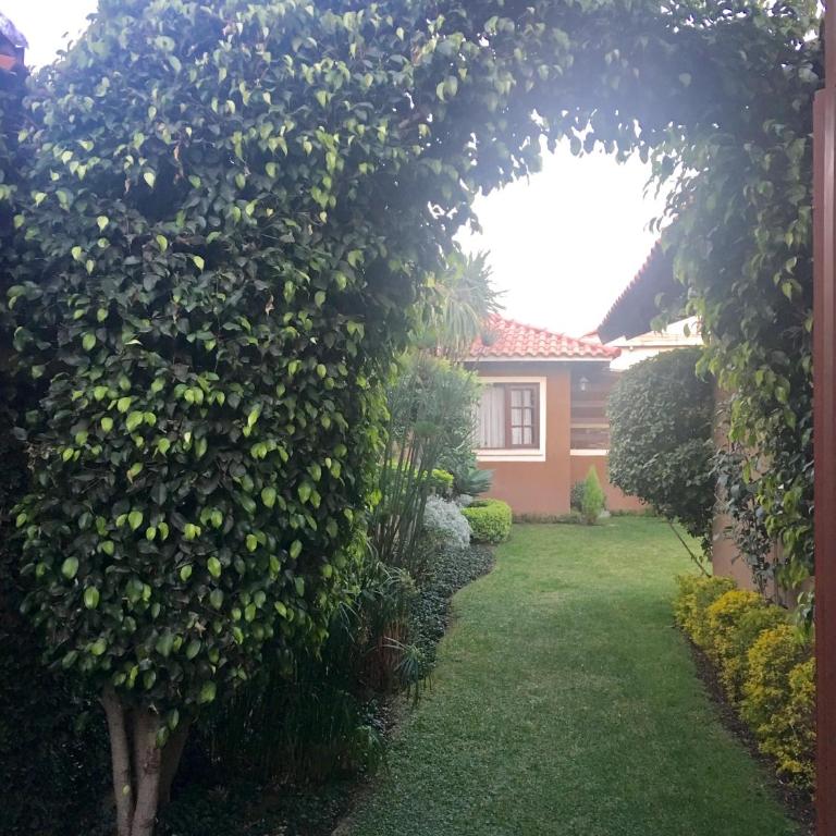 Apartamento con jardin - Apartamento Estándar - 12