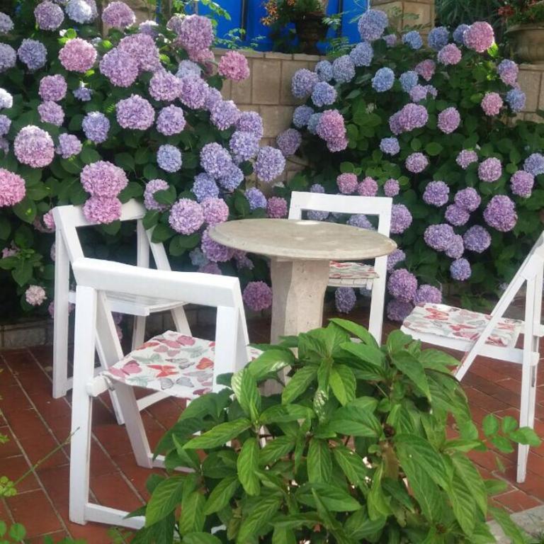 Apartman Taraca Villa Knezevic - Apartment with Garden View - 16