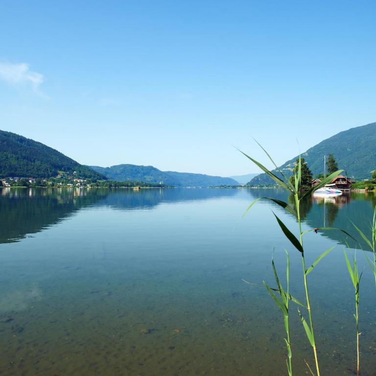 Landhaus Hofer Ossiacher See - Double Room with Lake View - 13