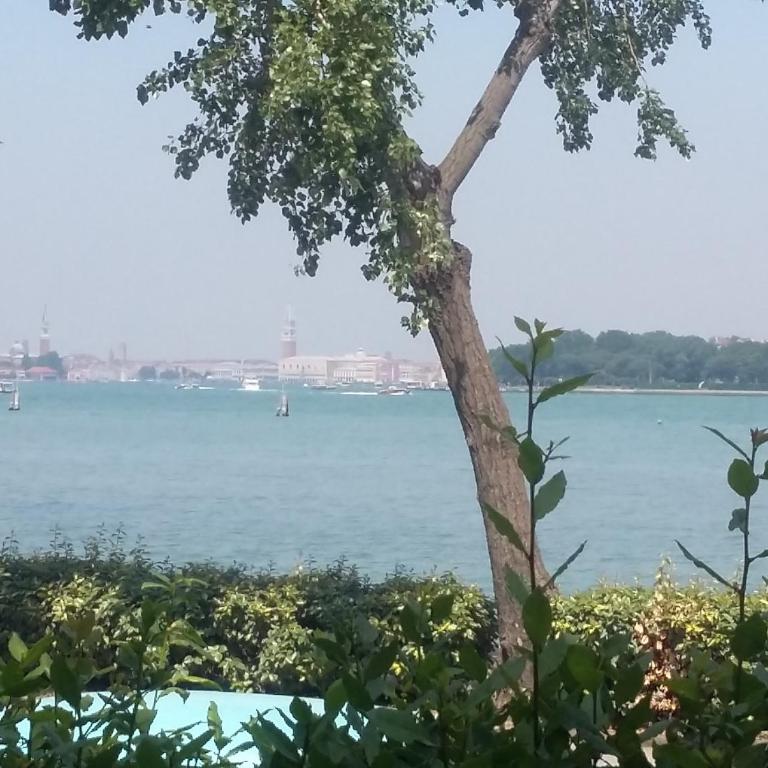 Bellavista SanMarco Venice and lagoon view - Apartamento - 45
