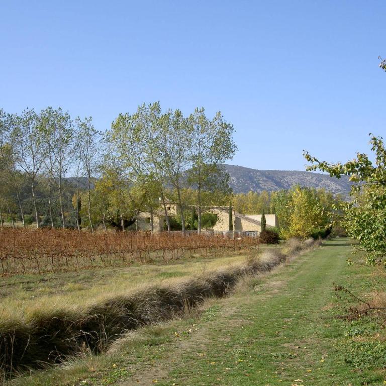 Gîte Aux Tournesols - Cottage (10 Adultes) - 29