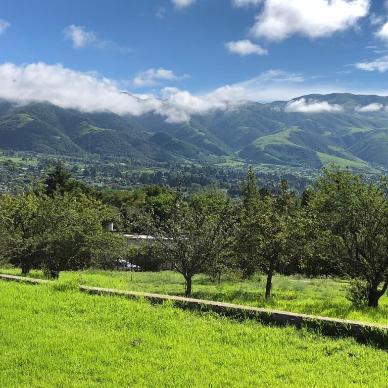 Descanso Perfecto en Tafí del Valle - Casa - 48