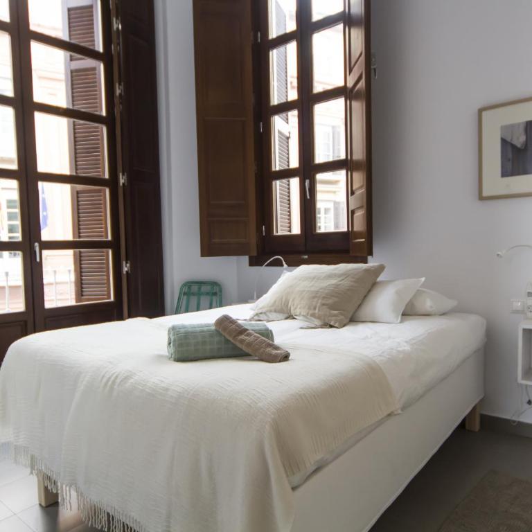 Apartamentos Málaga Picasso - Apartamento de 2 dormitorios - 4