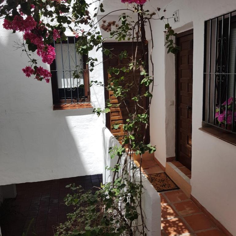Estudio Pueblo Evita 133 - Apartamento Estudio - 2