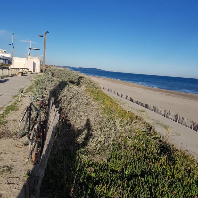 Studio Naturiste "LE CACTUS" Coursives Port Nature 614 - Studio - Vue sur Mer - 19