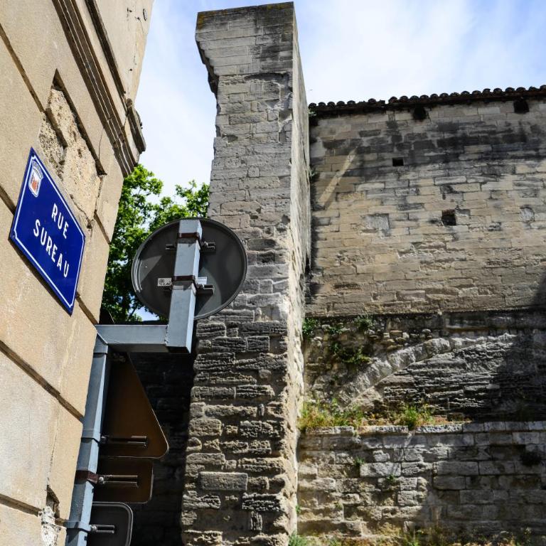 Le Sureau - Apartment - 34