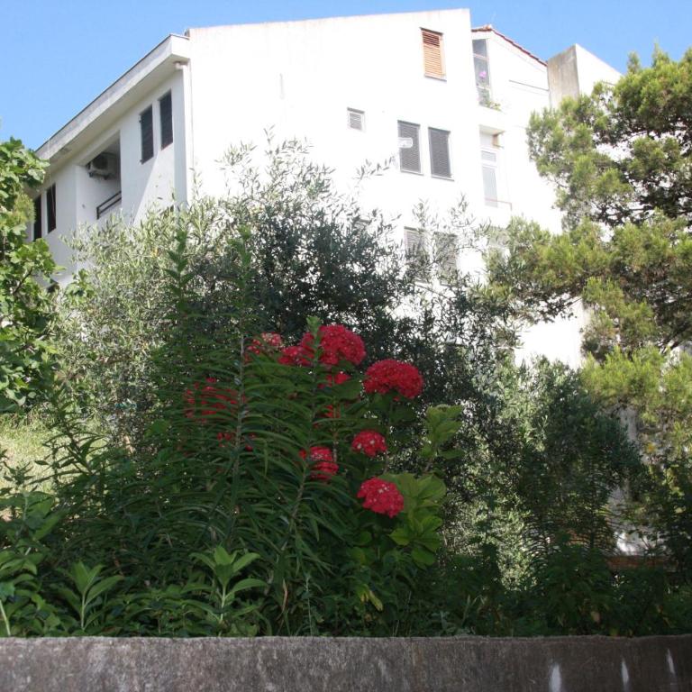 Apartment Jasovic - Apartment with Sea View - 25
