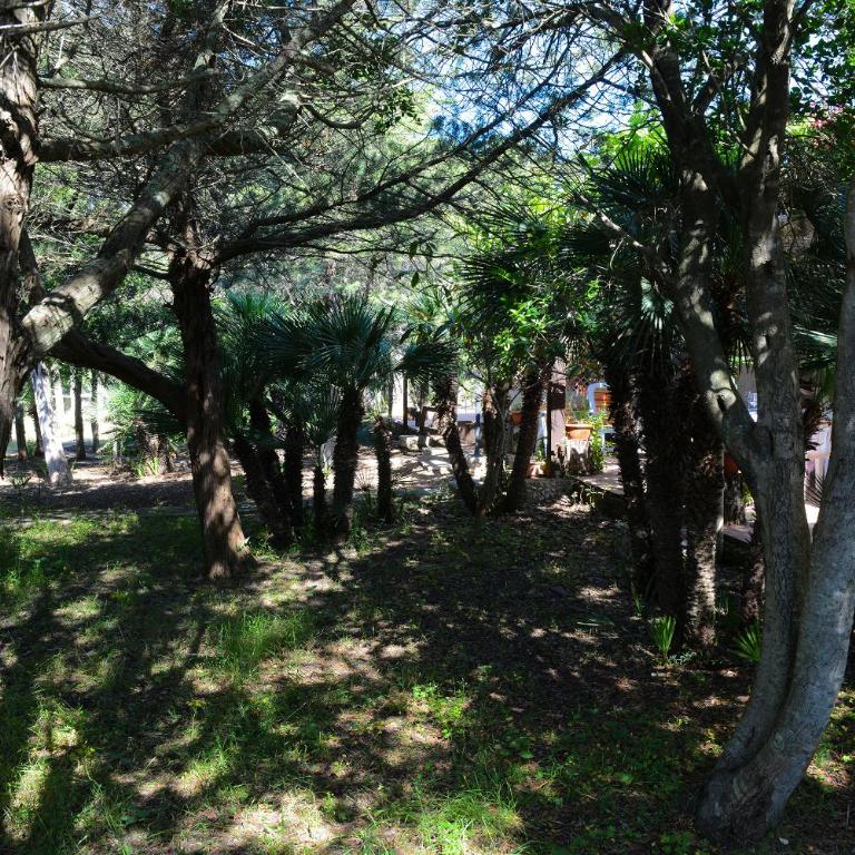 Villa Margherita - Casa Vacanze - 13